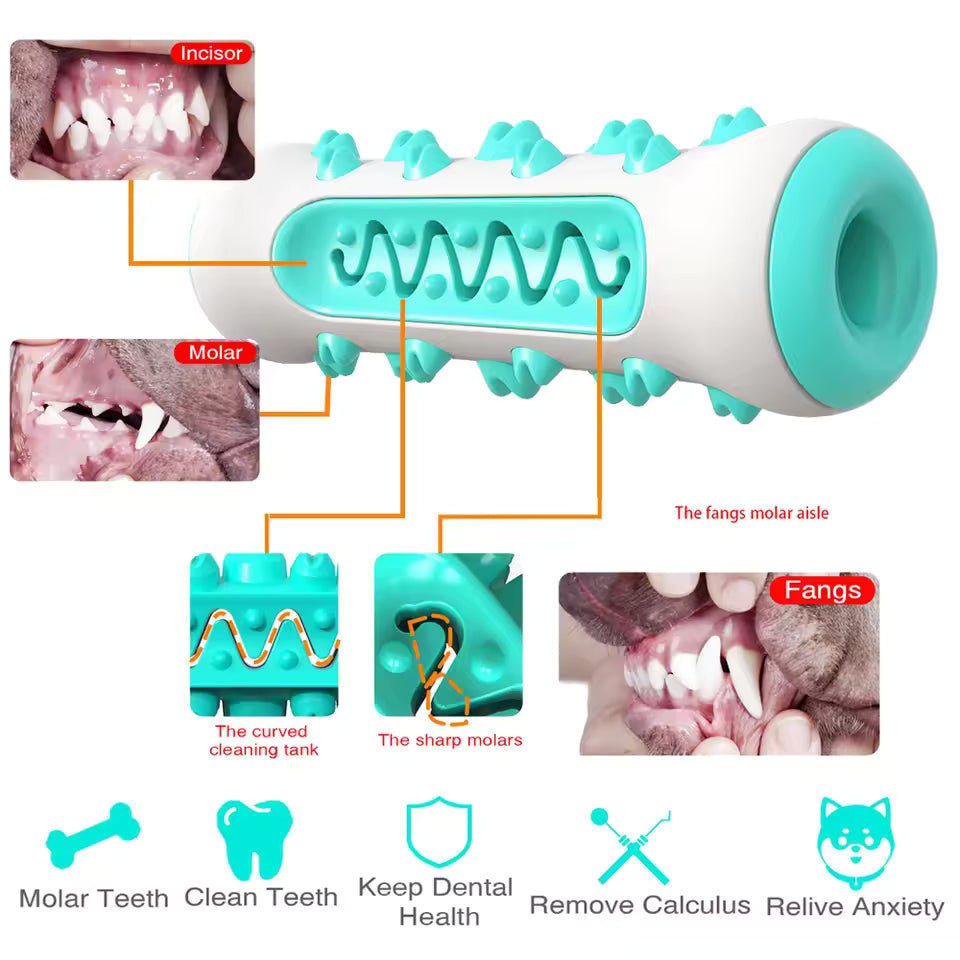 Dog Toothbrush Chew Toys