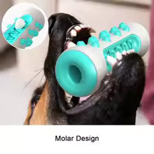 Dog Toothbrush Chew Toys