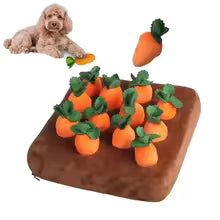 Plush carrot dog toys