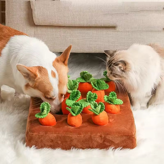 Plush carrot dog toys