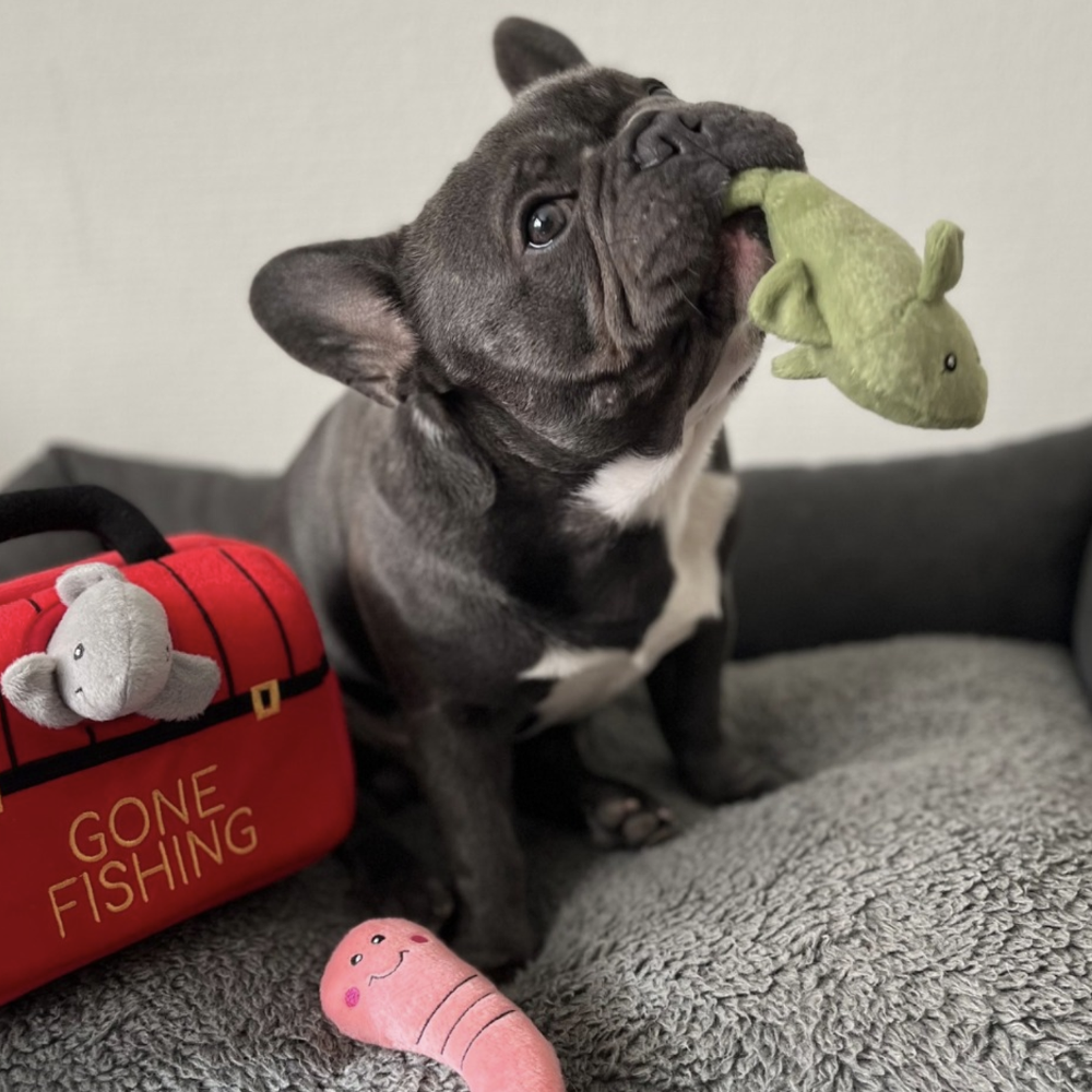 Gone Fishing scent toy