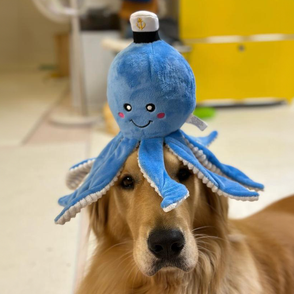 Octopus plush toy