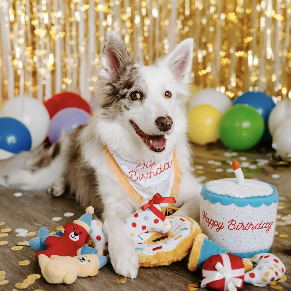 Birthday Cake Sniffing Toy